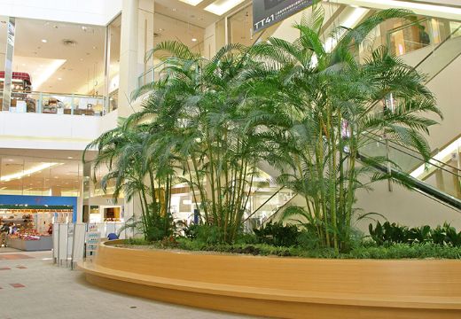 ショッピングセンター