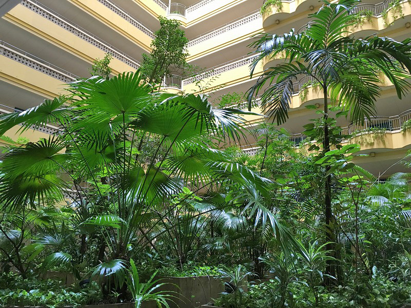 ビーチタワー沖縄