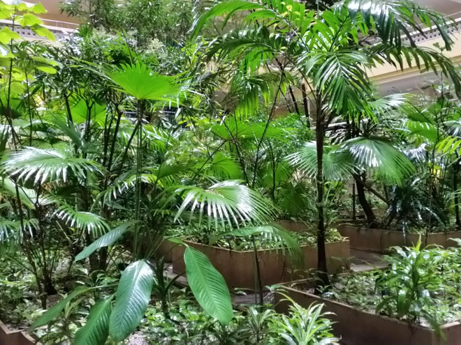 ザ・ビーチタワー沖縄